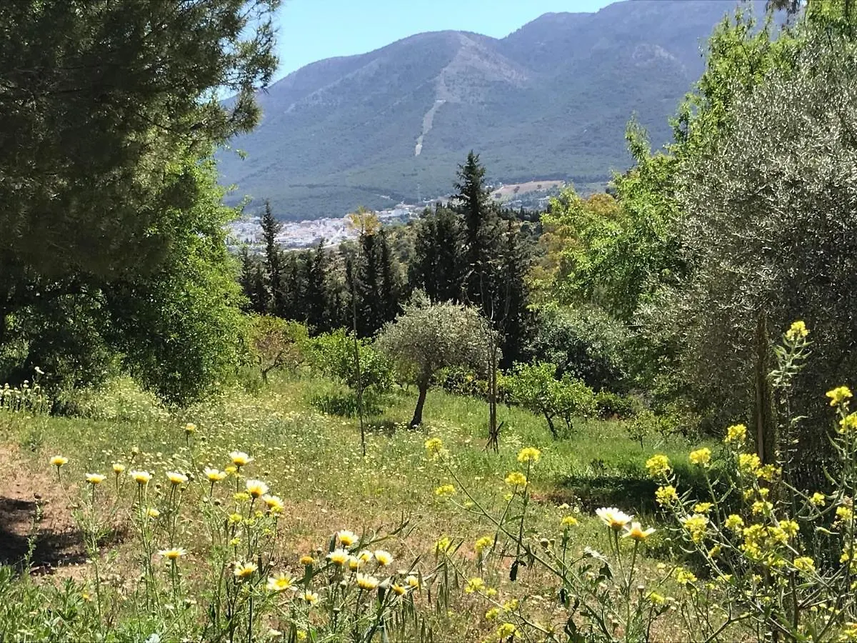 Апартаменты Studio Views Apartment, Cortijo Fruitful Hills Малага