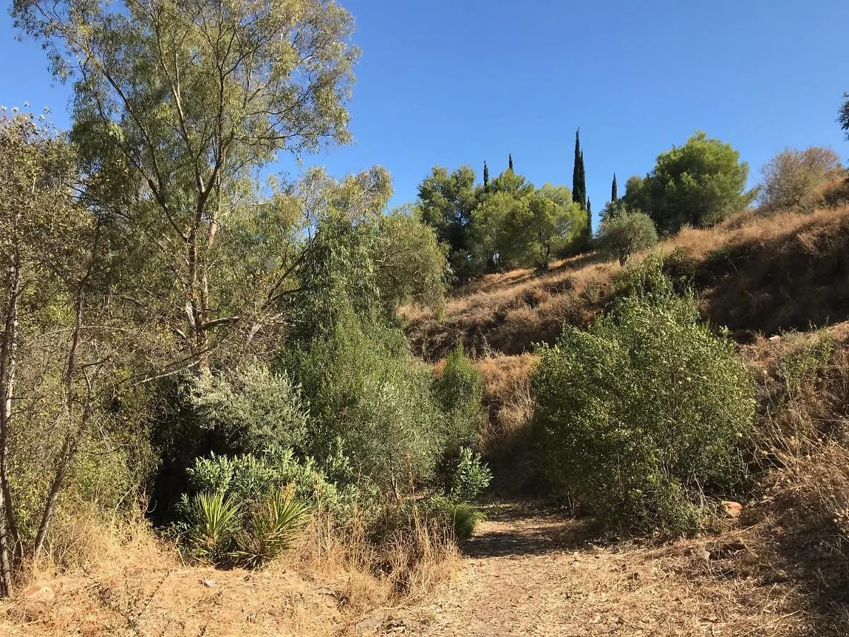דירה מאלגה Studio Views Apartment, Cortijo Fruitful Hills