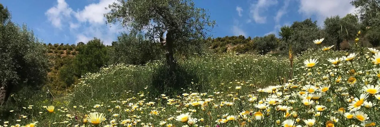 מאלגה Studio Views Apartment, Cortijo Fruitful Hills